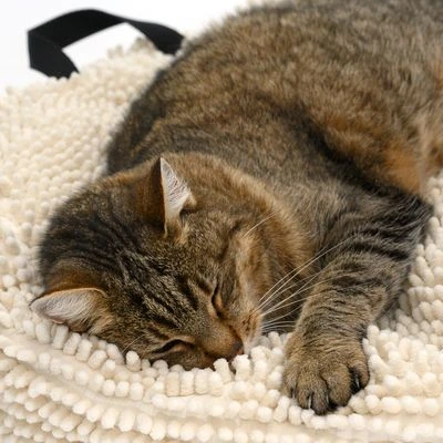 Cojín Para Mascotas Color Crema 10 Cojín Para Mascotas Color Crema - Imagen 8