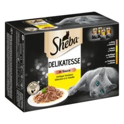 Sheba 24 X 85 G En Sobres Multireceta -Artículos Mascotas Tienda 107296 pla sheba multipack delikatesse in sauce 5