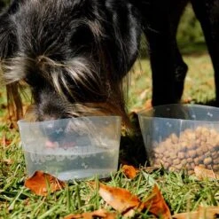 Comedero Plegable Mobowl 7 Comedero Plegable Mobowl -Artículos Mascotas Tienda 111118 texstar mobowl foldablebowl hs 02 9