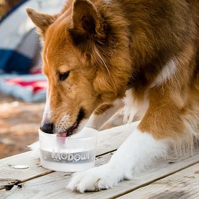 Comedero Plegable Mobowl 4 Comedero Plegable Mobowl - Imagen 2