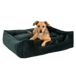 Cama Modern Living Fern Para Perros -Artículos Mascotas Tienda 111546 hundebett fern fg 0532 4