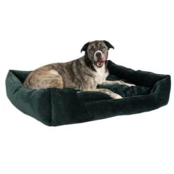 Cama Modern Living Fern Para Perros -Artículos Mascotas Tienda 111547 hundebett fern fg 0546 0