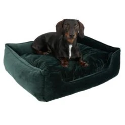 Cama Modern Living Fern Para Perros -Artículos Mascotas Tienda 111707 hundebett fern fg 0620 4