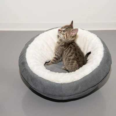 Cueva Ellora Para Gatos Y Perros Pequeños 17 Cueva Ellora Para Gatos Y Perros Pequeños - Imagen 15