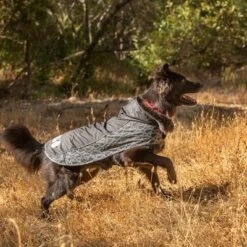 Chubasquero KONG Elements Negro Para Perros -Artículos Mascotas Tienda 130697 paw kong elements regenmantel schwarz 30kg hs 04 2