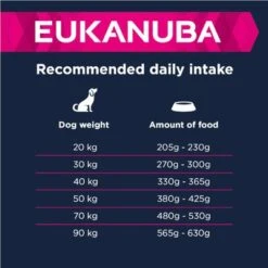 Eukanuba Adult Razas Grandes Con Cordero Y Arroz -Artículos Mascotas Tienda 135797 eukanuba adult large breed lamm reis feeding 3 9