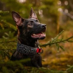 Rukka® Cube Soft Collar, Rojo / Negro -Artículos Mascotas Tienda 139798 lfashion rukka cube soft halsband rot hs 03 8