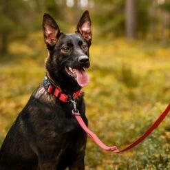 Rukka® Cube Soft Collar, Rojo / Negro -Artículos Mascotas Tienda 139798 lfashion rukka cube soft halsband rot hs 06 0