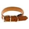 Collar De Cuero Heim Buffalo Coñac Para Perros 2 Collar De Cuero Heim Buffalo Coñac Para Perros -Artículos Mascotas Tienda 14170 PLA Heim Lederhalsband Buffalo cognac FG30 1 1