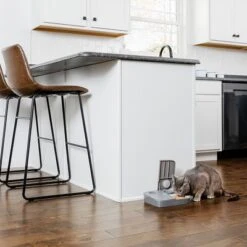 Comedero Automático Doble PetSafe® Para Mascotas 22 Comedero Automático Doble PetSafe® Para Mascotas -Artículos Mascotas Tienda 145997 rasiosystems petsafe futterautomat 2mahlzeiten catdog 2x355xml hs 11 4