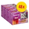 Whiskas Duo 48 X 85 G Pack Mixto En Bolsitas