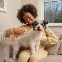 Pet Head Quick Fix Champú En Seco Para Perros -Artículos Mascotas Tienda 159702 companyofanimals pethead quickfixspray 300ml hs 05 3