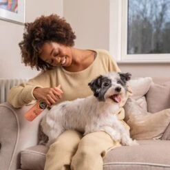 Pet Head Quick Fix Champú En Seco Para Perros -Artículos Mascotas Tienda 159702 companyofanimals pethead quickfixspray 300ml hs 06 2