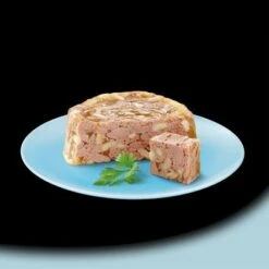 Cesar Senior 10+ Selección En Gelatina En Tarrinas -Artículos Mascotas Tienda 166897 marsuk cesa senior 10plus mixkarton de 8x150g hs 04 0