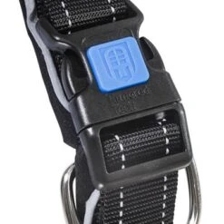 Collar ArmoredTech Dog Control Con Correa Corta Integrada Para Perros -Artículos Mascotas Tienda 173096 173097 173098 asaquaristik dogcontrol halsband schwarz hs 02 5