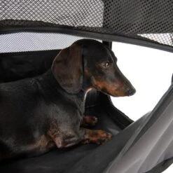 Caseta Plegable Fiona Para Mascotas -Artículos Mascotas Tienda 173100 faltbare hundekiste fiona fg 6338 4