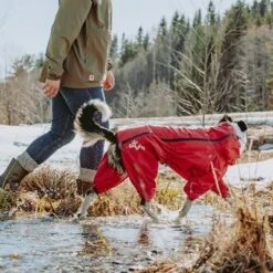 Chubasquero Bare Berry Hurtta Para Perros -Artículos Mascotas Tienda 186544 186545 186546 186547 186548 186549 hurtta forzooplus bare regenoverall berry hs 09 6