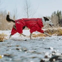 Chubasquero Bare Berry Hurtta Para Perros -Artículos Mascotas Tienda 186544 186545 186546 186547 186548 186549 hurtta forzooplus bare regenoverall berry hs 10 6