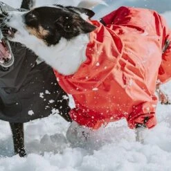 Chubasquero Bare Berry Hurtta Para Perros -Artículos Mascotas Tienda 186544 186545 186546 186547 186548 186549 hurtta forzooplus bare regenoverall berry hs 11 5