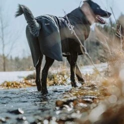 Chubasquero Bare Coal Hurtta Para Perros -Artículos Mascotas Tienda 188096 188096 186536 186537 186538 186539 186540 hurtta forzooplus bare regenmantel coal hs 10 0