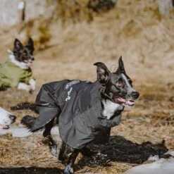 Chubasquero Bare Coal Hurtta Para Perros -Artículos Mascotas Tienda 188096 188096 186536 186537 186538 186539 186540 hurtta forzooplus bare regenmantel coal hs 12 3
