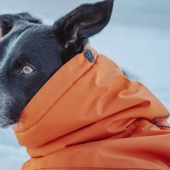 Abrigo Invernal Bare Sunrise Hurtta Para Perros 29 Abrigo Invernal Bare Sunrise Hurtta Para Perros -Artículos Mascotas Tienda 188296 188297 188298 188299 188300 188301 188302 hurtta forzooplus bare winterjacke sunrise hs 15 9