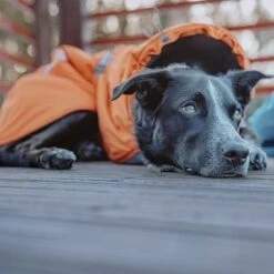 Abrigo Invernal Bare Sunrise Hurtta Para Perros 38 Abrigo Invernal Bare Sunrise Hurtta Para Perros -Artículos Mascotas Tienda 188296 188297 188298 188299 188300 188301 188302 hurtta forzooplus bare winterjacke sunrise hs 18 3