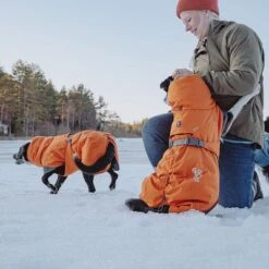 Abrigo Invernal Bare Sunrise Hurtta Para Perros 37 Abrigo Invernal Bare Sunrise Hurtta Para Perros -Artículos Mascotas Tienda 188296 188297 188298 188299 188300 188301 188302 hurtta forzooplus bare winterjacke sunrise hs 23 1