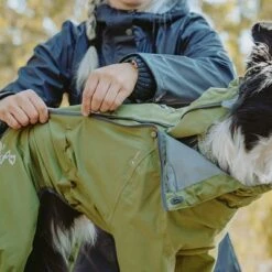 Chubasquero Bare Pine Hurtta Para Perros -Artículos Mascotas Tienda 188303 188304 188305 188396 186542 186543 hurtta forzooplus bare regenoverall pine hs 06 8