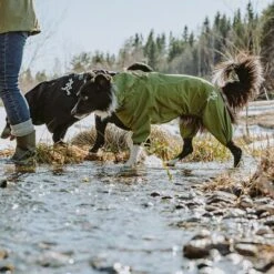 Chubasquero Bare Pine Hurtta Para Perros -Artículos Mascotas Tienda 188303 188304 188305 188396 186542 186543 hurtta forzooplus bare regenoverall pine hs 09 1