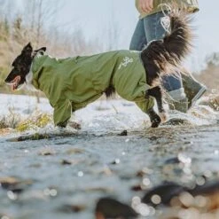 Chubasquero Bare Pine Hurtta Para Perros -Artículos Mascotas Tienda 188303 188304 188305 188396 186542 186543 hurtta forzooplus bare regenoverall pine hs 10 0