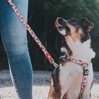 Arnés Max & Molly Watermelon Para Perros 14 Arnés Max & Molly Watermelon Para Perros - Imagen 12