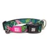 Collar Max & Molly Tropical Con Smart ID Para Perros -Artículos Mascotas Tienda 190596 190597 190399 190400 pla maxnmolly smartid halsband tropical dog hs 01 3