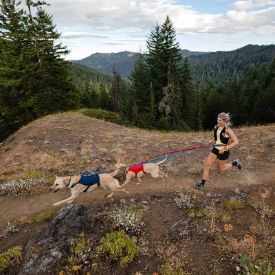 Arnés Ruffwear Switchbank Azul Para Perros - Imagen 10