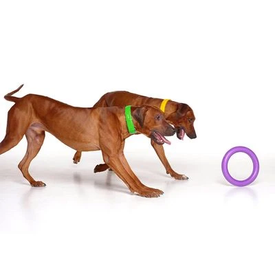 Ferplast Puller Juguete Para Perros 9 Ferplast Puller Juguete Para Perros - Imagen 7