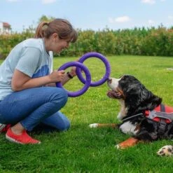 Ferplast Puller Juguete Para Perros 24 Ferplast Puller Juguete Para Perros -Artículos Mascotas Tienda 199296 ferplastitalien ferplast hundespielzeug puller midi 27cm hs 11 7