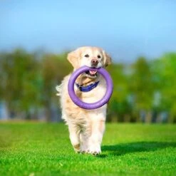 Ferplast Puller Juguete Para Perros 27 Ferplast Puller Juguete Para Perros -Artículos Mascotas Tienda 199296 ferplastitalien ferplast hundespielzeug puller midi 27cm hs 16 5