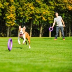 Ferplast Puller Juguete Para Perros 28 Ferplast Puller Juguete Para Perros -Artículos Mascotas Tienda 199296 ferplastitalien ferplast hundespielzeug puller midi 27cm hs 17 7