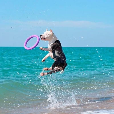 Ferplast Puller Juguete Para Perros 16 Ferplast Puller Juguete Para Perros - Imagen 14