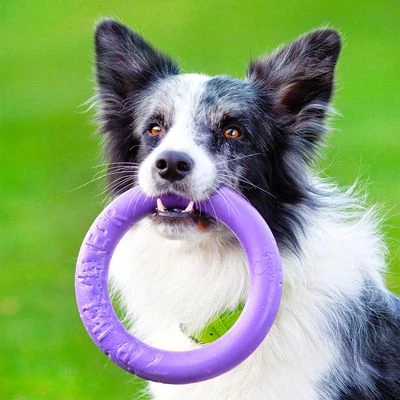 Ferplast Puller Juguete Para Perros 17 Ferplast Puller Juguete Para Perros - Imagen 15