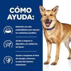 Hill's I/d Prescription Diet Digestive Care Estofado Para Perros -Artículos Mascotas Tienda 1 pd id dog bk33557 how helps es 5