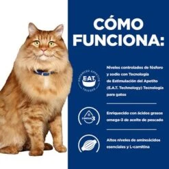 Hill's K/d + Mobility Prescription Diet Bolsitas Para Gatos -Artículos Mascotas Tienda 1 pd kd mobility cat bk24069m bk27533m how works es 3