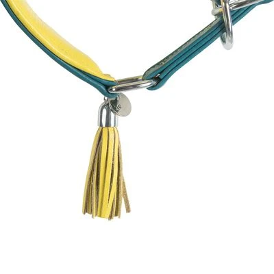 Collar Para Galgos Trixie Active Comfort Verde Petróleo/amarillo - Imagen 6