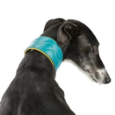 Collar Para Galgos Trixie Active Comfort Verde Petróleo/amarillo - Imagen 3