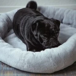 Cama Térmica HAFENBANDE Flory 19 Cama Térmica HAFENBANDE Flory -Artículos Mascotas Tienda 200322 waagenschmitt hafenbande heizmatte flory hs 11 8