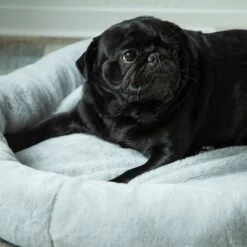 Cama Térmica HAFENBANDE Flory 17 Cama Térmica HAFENBANDE Flory -Artículos Mascotas Tienda 200322 waagenschmitt hafenbande heizmatte flory hs 12 1