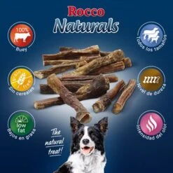 PROMO: 100 Uds. X Rocco Nervio De Buey 12 Cm 11 PROMO: 100 Uds. X Rocco Nervio De Buey 12 Cm -Artículos Mascotas Tienda 2019 09 rocco naturals pizzle 1000x1000 es 7