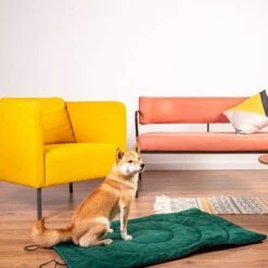 Esterilla De Viaje Brújula Para Perros 23 Esterilla De Viaje Brújula Para Perros -Artículos Mascotas Tienda 203427 geop reise hundematte kompass hs 01 5