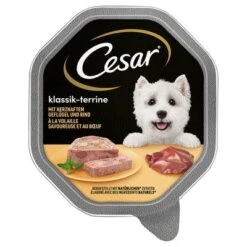 Cesar En Tarrinas 14 X 150 G -Artículos Mascotas Tienda 206282pla marsgemany megapack cesar schale terrine 14x150g hs 01 1