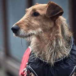 Abrigo HUNTER Uppsala Cozy Para Perros -Artículos Mascotas Tienda 212940 212941 212942 hunter hundemantel uppsala cozy redblack hs 07 7